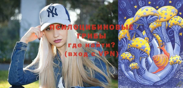 PSILOCYBIN Абдулино