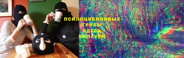 PSILOCYBIN Абдулино