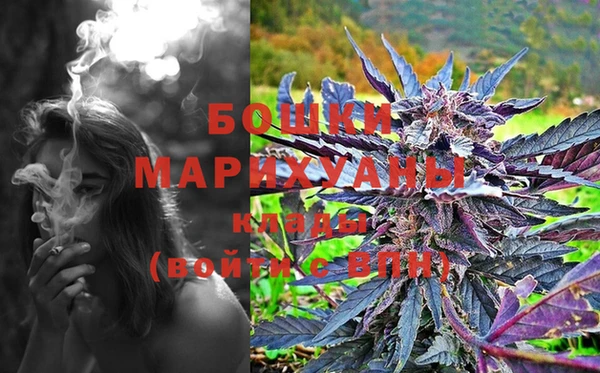 PSILOCYBIN Абдулино