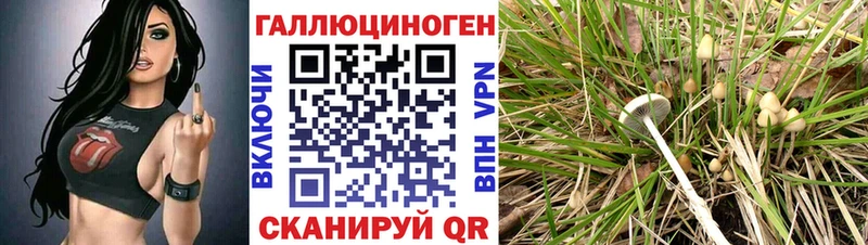 Галлюциногенные грибы GOLDEN TEACHER  магазин    Грозный 