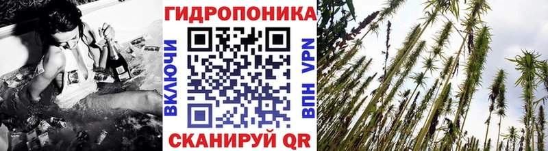 Марихуана OG Kush  Грозный 